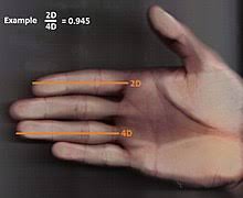 Digit Ratio Wikipedia