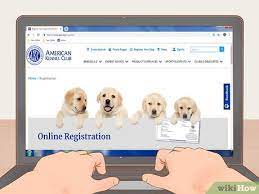 3 Ways To Check A Dog's Pedigree - Wikihow Pet