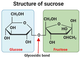Carbohydrates - Biological Molecules - Mcat Review