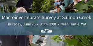 Macroinvertebrate Survey at Salmon Creek