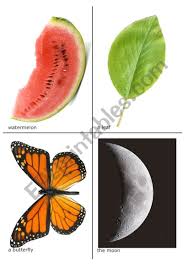 Get your hands dirty and give a little nature lesson while celebrating the very hungry caterpillar. The Very Hungry Caterpillar Flash Cards 2 Of 2 Esl Worksheet By Robirimini