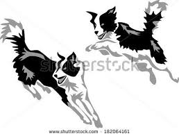 Black And White Collie Dog Clipart Stylized Jumping Border Collie Stock Vector Perros Border Collie Perros Dibujos