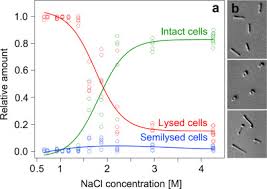 In a fully turgid cell water potential is. Osmotic Potential An Overview Sciencedirect Topics