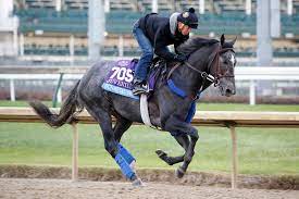 Gunmetal Gray 2022 Kentucky Derby Oaks May 6 And May 7 2022
