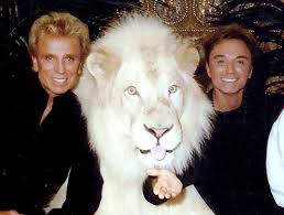 The new siegfried & roy online store is live! Siegfried And Roy Tiger Trainer Says Relationship With Montacore Was A Key Factor In The Attack The Independent The Independent