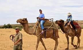 Walmart promo codes are featured on walmart.com and on coupon code and deals sites like swagbucks. Camel Safari Camel Safari Groupon
