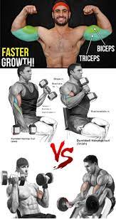 pin on biceps triceps
