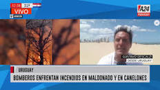 Image result for GUSTAVO DESCALZI