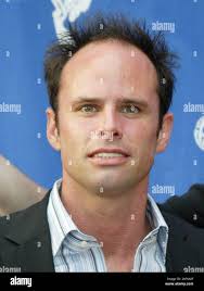Walton goggins shield hi-res stock photography and images