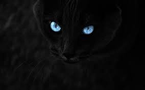 Image result for super cool wallpaper