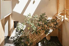 We did not find results for: Simpel Dan Modern 4 Desain Rumah Gaya Jepang Bisa Anda Tiru Halaman All Kompas Com