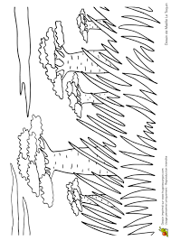 coloriage paysage arbres et savane arbre de fleurs dans les pages pour adultes