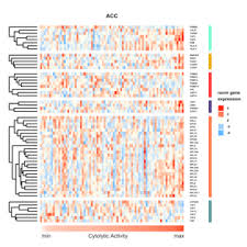 Image result for bioinformatics heatmap