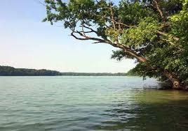 Insel Werder Uferweg Geltow Bis Potsdam Runde Von Werder Havel Fahrradtour Komoot In 2020 Fahrradtour Erkner Radtour