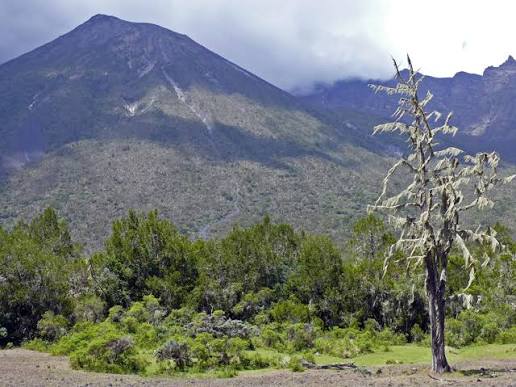 Mount Meru 4 Days