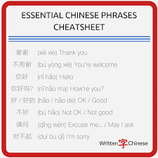 How to express your thanks and say you're welcome or the equivalent in many languages with recordings for some of them. 20 Essential Chinese Phrases For Newbies And Travellers