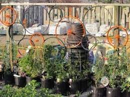 Urban Roots Community Garden Center Buffalo Ny Blog Archive Bike Wheel Pyssel