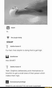Birdy Fact Funny Man This Is Why I Don T Open Ifunny In Public Fun Facts New Memes