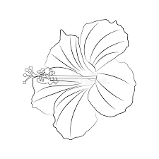 Vector set of design elements, logo design template. Outline Hibiscus Vector Icon Isolated Black Simple Line Element Illustration From Nature Concept Editable Vector Stroke Hibiscus Stock Vector Illustration Of Isolated Black 144293214