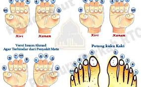 Maybe you would like to learn more about one of these? Memotong Kuku Archives Nyantri Yuk