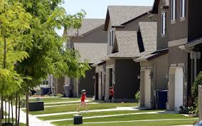 Vole infestation has North Salt Lake residents concerned
