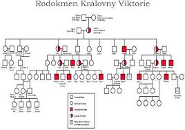 V sobotu přihlížela vojenské přehlídce na hradu windsor konané na její počest u příležitosti jejích oficiálních narozenin. Pacient S Hemofilii Radomira Hrdlickova Pdf Free Download