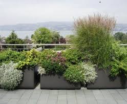Grosse Pflanzkuebel Kunststoff Terrasse Schilf Pflanzen Garten Terrasse Terrasse Pflanzen