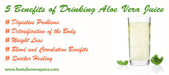 The aloe vera plant is a succulent plant species from the genus aloe. 5 Benefits Of Drinking Aloe Vera Juice Best Aloe Vera Juice