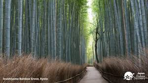 Find your next virtual background among these creative options. Bring Japan To Your Conference Calls With These Virtual Backgrounds Travel Japan Jnto