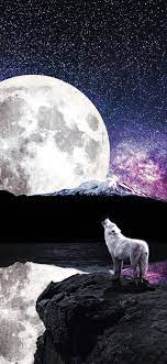 | see more beautiful wolf wallpapers, awesome wolf looking for the best wolf wallpaper? Moon And Wolf Iphone 1125x2436 Wallpaper Teahub Io