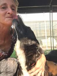 Baby announcement photos with sweet couple