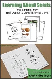 Studying Seeds Printable Mini Book Seed Chart And