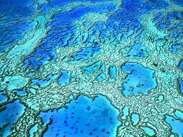 Check spelling or type a new query. Nasa Steps Up To Track The Shrinking Of Earth S Coral Reefs Wired