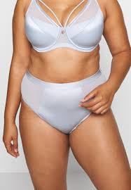 Home ashley graham 75+ hottest ashley graham pictures that will make you melt. Ashley Graham Lingerie By Addition Elle High Cut Pants Celestial Blue Blue Grey Zalando De