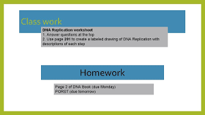 Dna structure and replication (worksheet). Dna Replication 5 2 Notes Dna Replication Purpose
