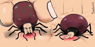 В Беларуси силовики хотят создать группы офицеров для ликвидации оппозиционеров, - Латушко - Цензор.НЕТ 1412