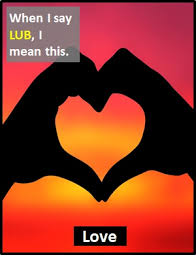 Dating is where two people who are attracted to each other spend time together to see if they also can stand to be only attracted to the other and pretends to be in love with the second unfortunate person who has the commonly mistaken with young puppy love. Lub What Does Lub Mean