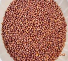 bÜ|z|ÇtÄ TÜà|vÄx