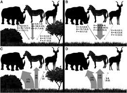 What is a trophic cascade example. Megaherbivores Modify Trophic Cascades Triggered By Fear Of Predation In An African Savanna Ecosystem Current Biology