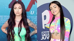 She is also quite controversial, and she has been blasted by fans because of her attitude. Bhad Bhabie Threatens Malu Trevejo To Fight Watch Hollywood Life