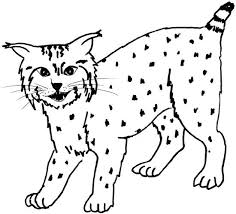 16 Bobcat Coloring Pages Free Coloring Page Site