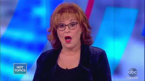 Image result for joy behar