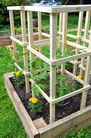 Some Like A Project Wooden Tomato Cages Tomato Cage Diy Tomato Cages Tomato Garden
