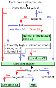 Ct Of Kidney Stone Disease Radlines Org