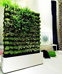 Зеленая стена из живых растений: как сделать маленькие джунгли в  собственном доме | FORUMHOUSE | Дзен