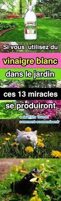 epingle sur jardin