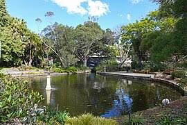 Learn about the diverse history of aboriginal australians in sydney with a guided tour led by an aboriginal guide. Royal Botanic Garden Sydney Wikipedia