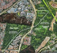 The clementi forest is a spectacular ecological paradise right in our backyard. Clementi Forest Trail Proposed By Nature Lover With Elevated Boardwalk Into Heart Of Misty Plain