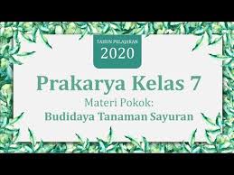 Ada beberapa alasan pengusaha memilih perantara dalam mendistribusikan produk budi daya tanaman pangan antara lain sebagai berikut, kecuali …. Prakarya Kelas 7 Semester 1 Budidaya Tanaman Sayuran Youtube