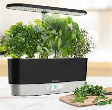 60 Things You Ll Want To Add To Your Holiday Wish List Now Gourmet Herbs Seed Kit Herb Seeds